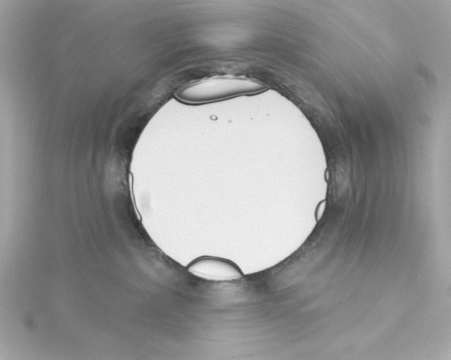 X0000115230236200911271829