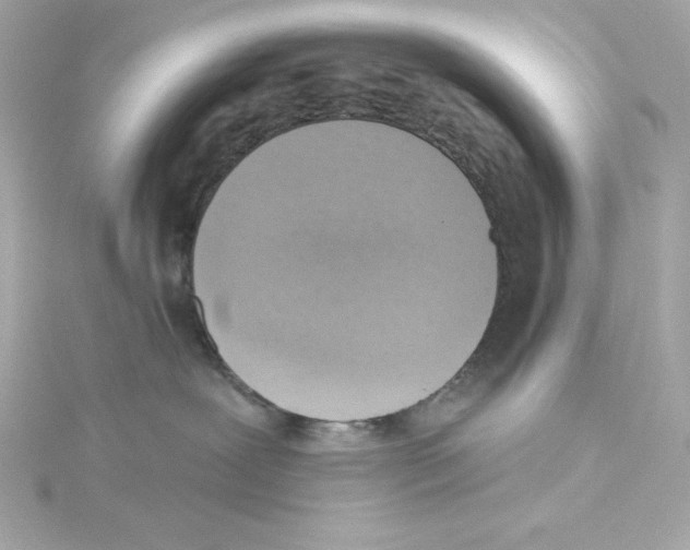 X0000115230239200911271829