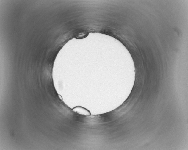 X0000115230240200911271829