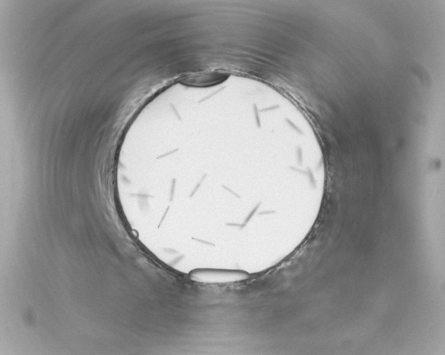 X0000115230241200911271828