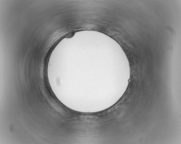 X0000115230242200911271828