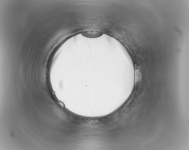 X0000115230243200911271828