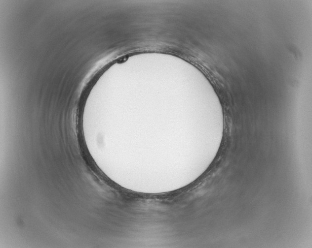 X0000115230244200911271828