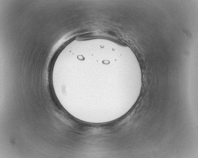 X0000115230246200911271828