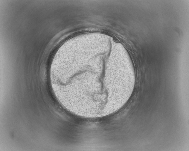 X0000115230247200911271828