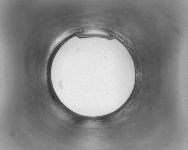 X0000115230248200911271828