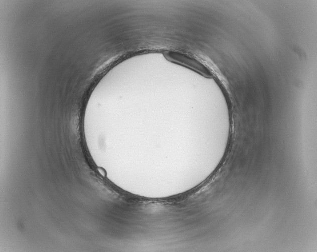 X0000115230249200911271828