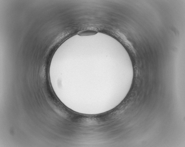 X0000115230250200911271828