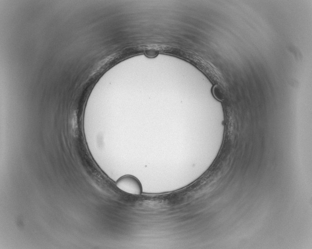 X0000115230251200911271828