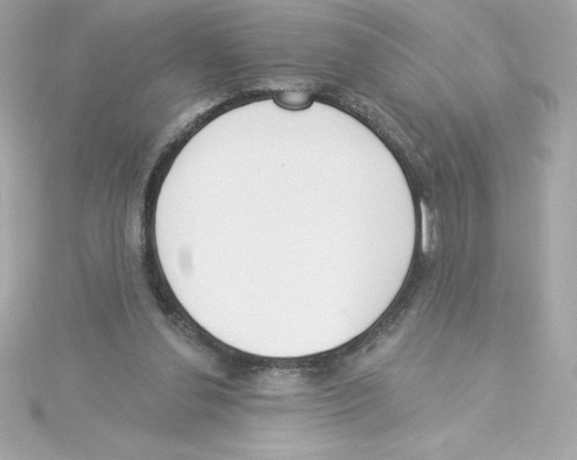 X0000115230252200911271828