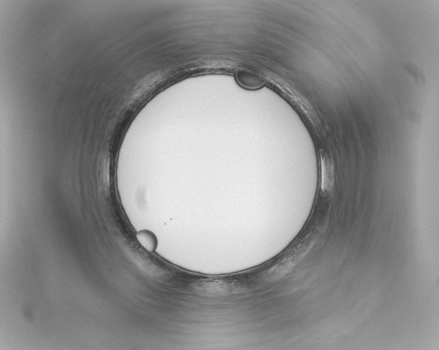 X0000115230253200911271828