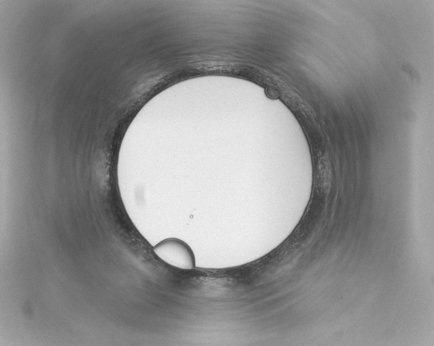 X0000115230255200911271828