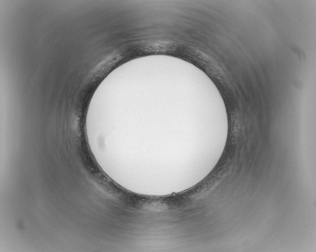 X0000115230258200911271828