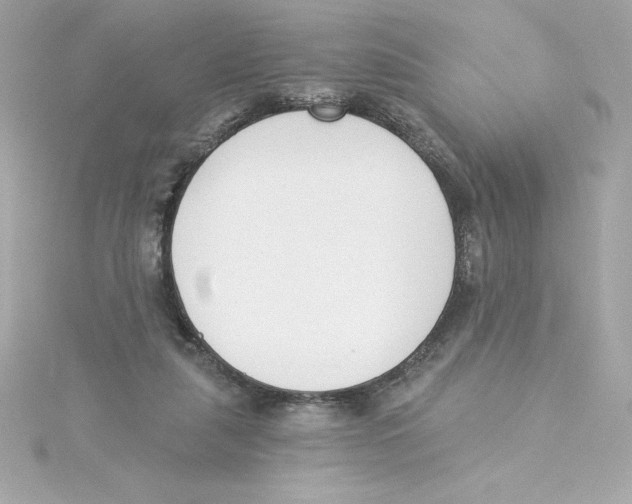 X0000115230259200911271828