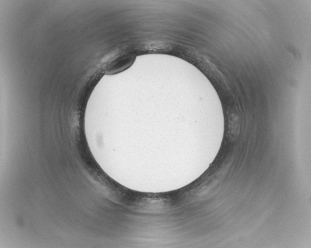 X0000115230260200911271828