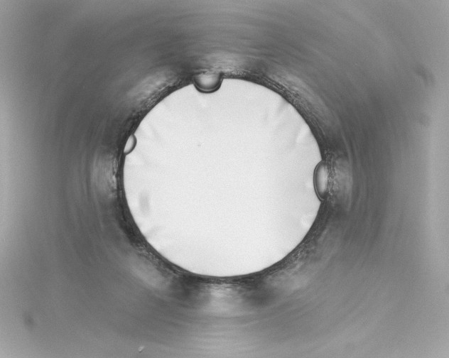 X0000115230264200911271828