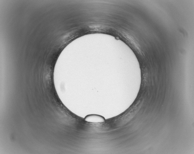 X0000115230265200911271828