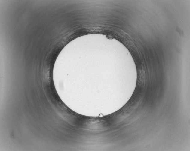 X0000115230267200911271828