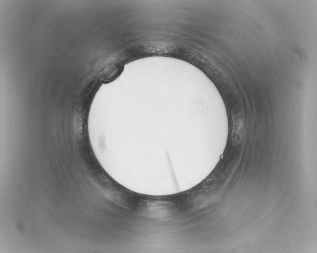 X0000115230268200911271828