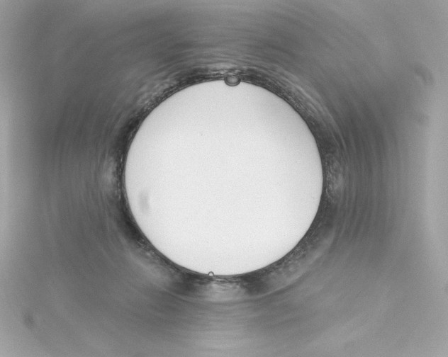 X0000115230270200911271828