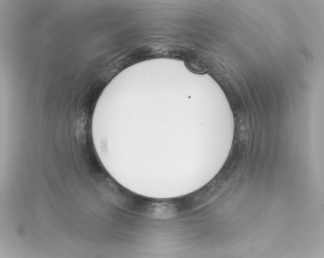 X0000115230275200911271828