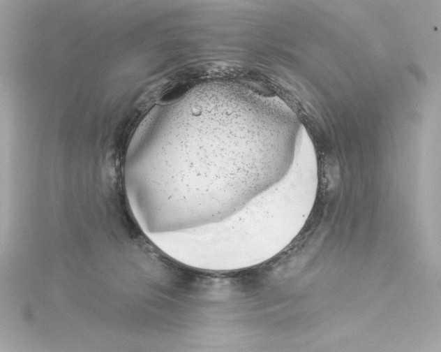 X0000115230276200911271828