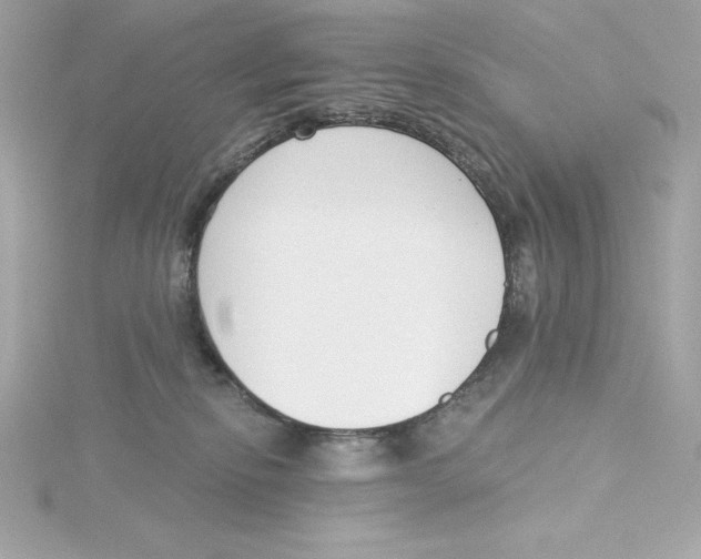 X0000115230278200911271828