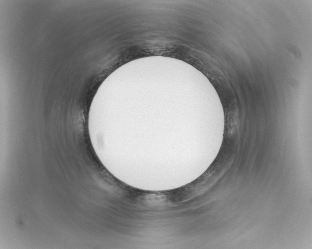 X0000115230279200911271828