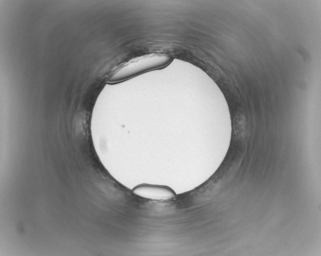 X0000115230280200911271828