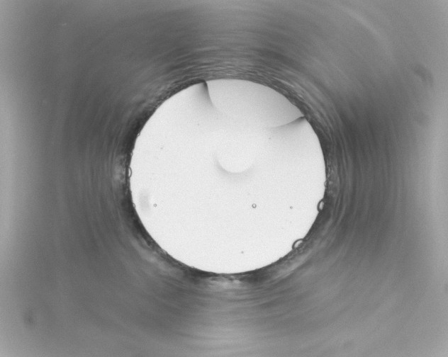 X0000115230284200911271829