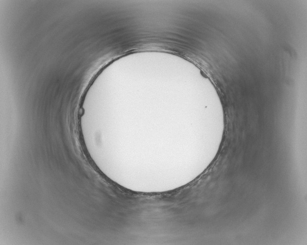 X0000115230289200911271828