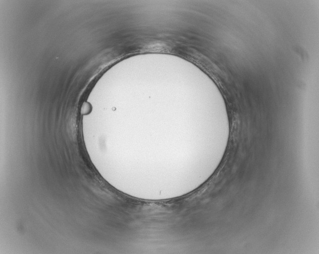 X0000115230290200911271828