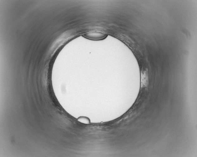 X0000115230291200911271828