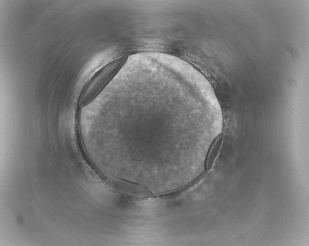 X0000115230293200911271828