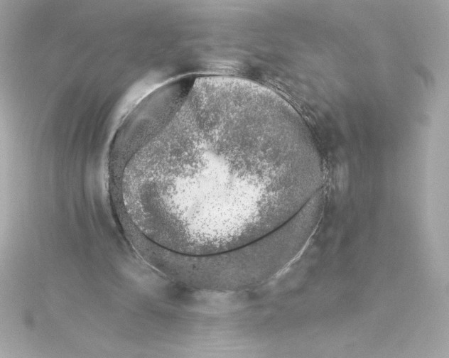 X0000115230294200911271828