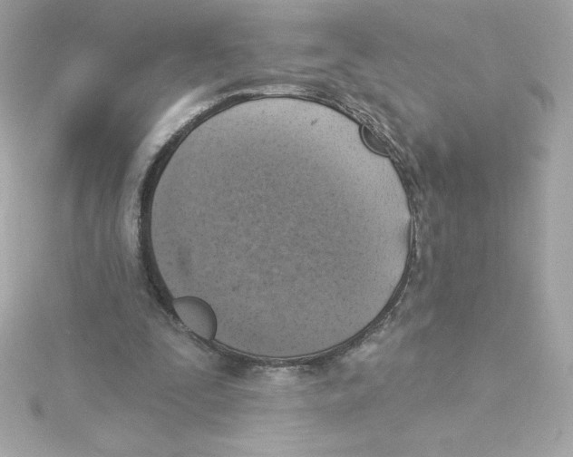 X0000115230295200911271828