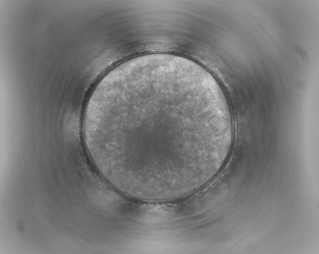 X0000115230297200911271828