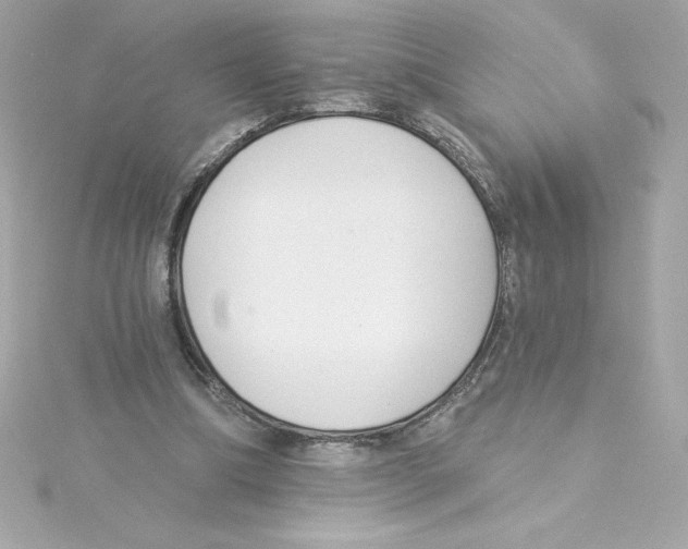 X0000115230298200911271828