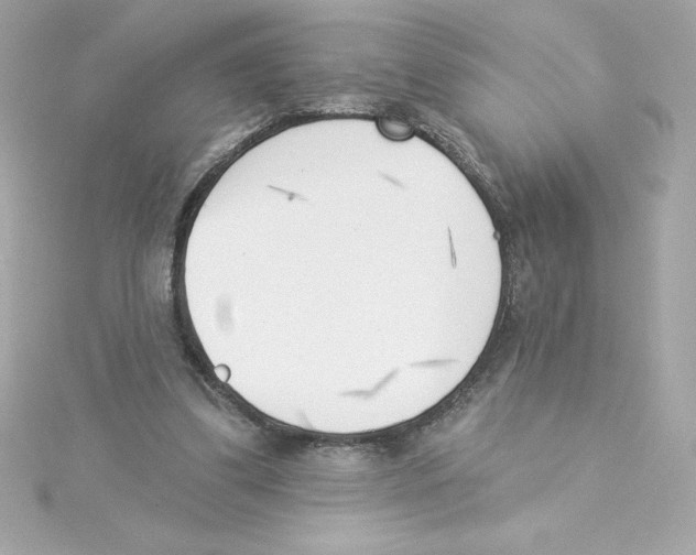 X0000115230299200911271828