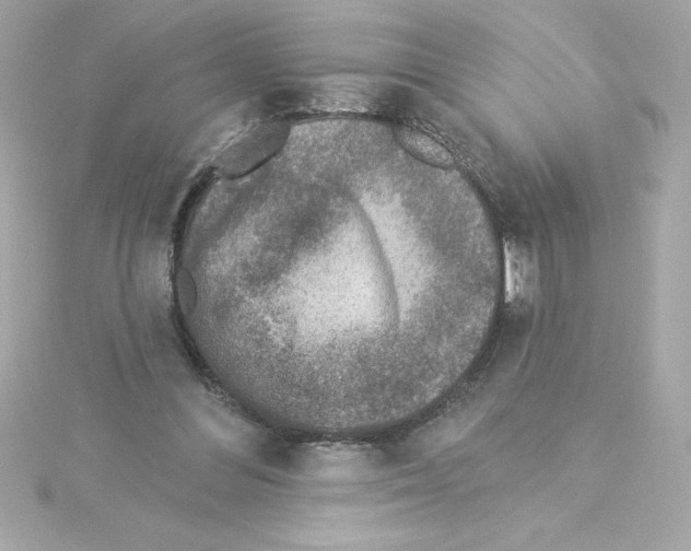 X0000115230300200911271828