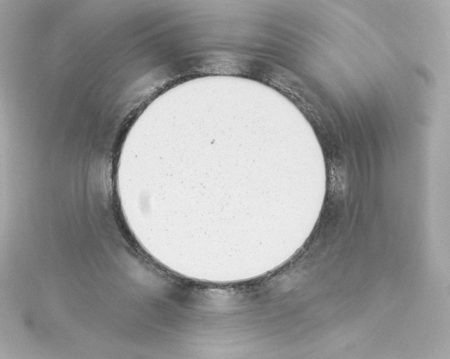 X0000115230302200911271828