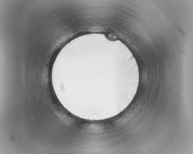 X0000115230303200911271828