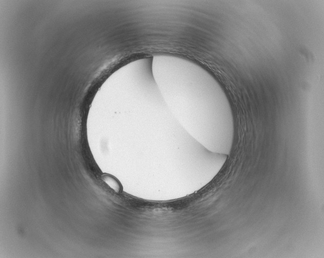 X0000115230304200911271828