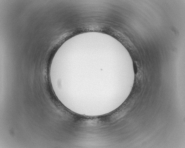 X0000115230306200911271828