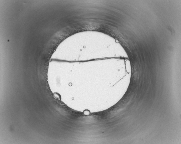 X0000115230307200911271828