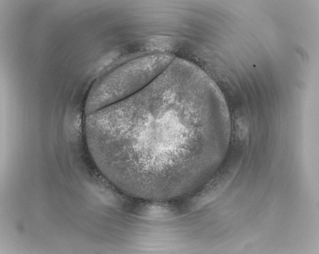 X0000115230308200911271828