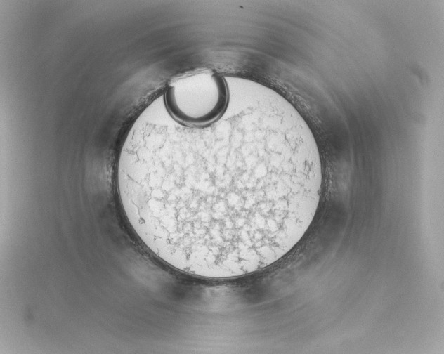 X0000115230309200911271828