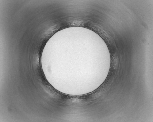 X0000115230310200911271828