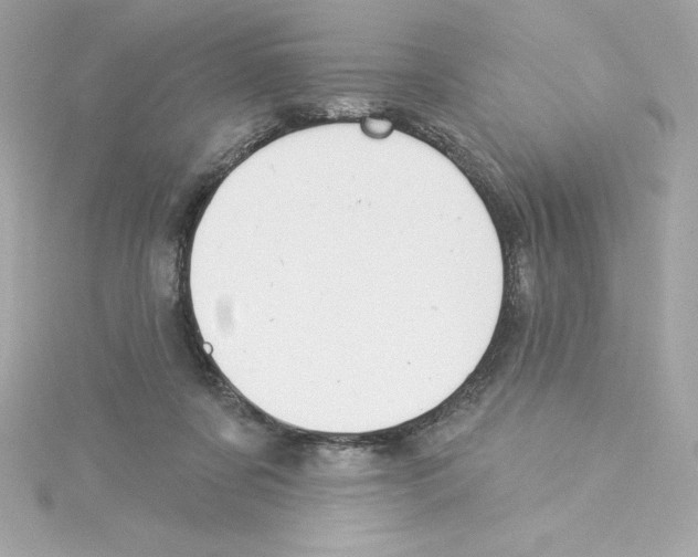 X0000115230311200911271828