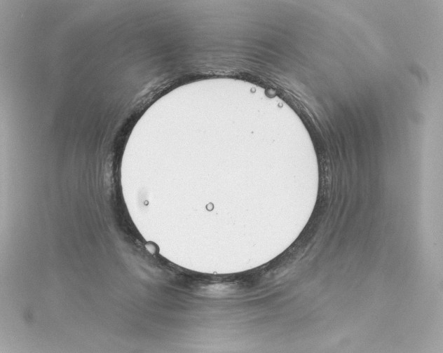 X0000115230312200911271828